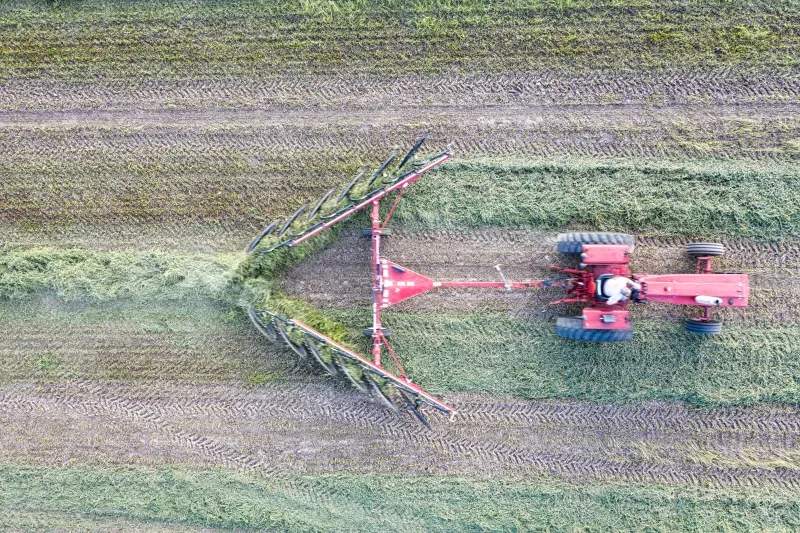 What Makes Locally Sourced Forage a Smart Choice